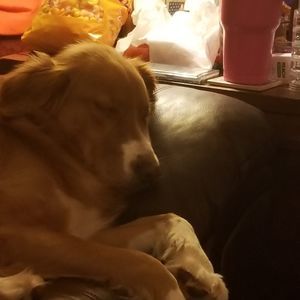 Meet your Posher, Scott